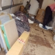 Moving In Times Of Corona