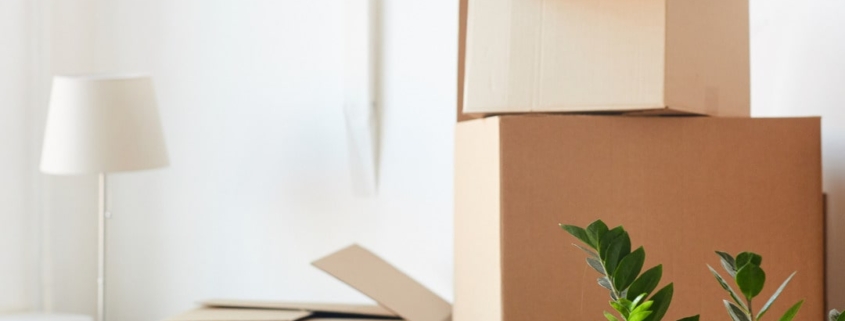 Tips For Avoiding Delays When Moving House